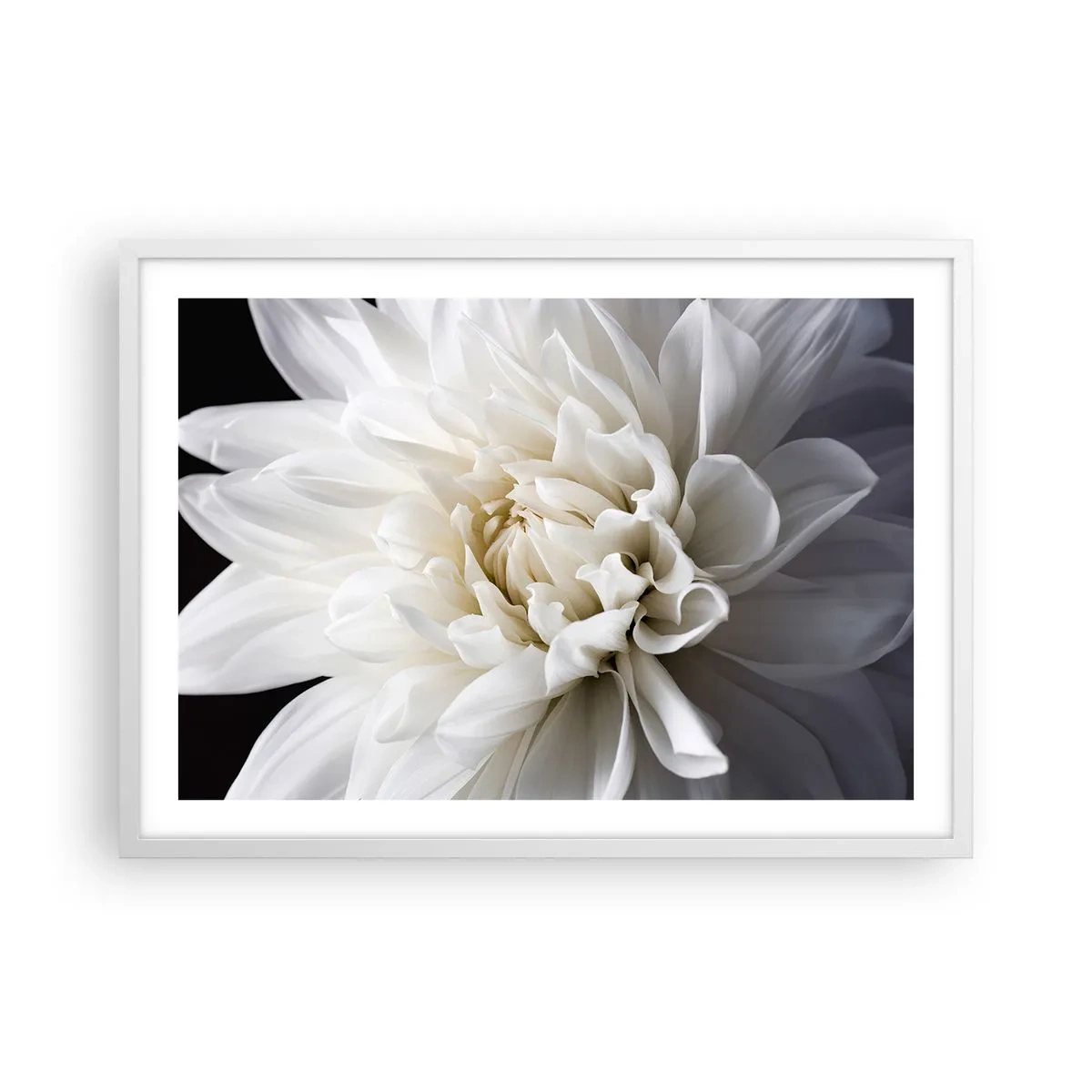 Plagát v bielom ráme - Ráno s nevestou - 70x50 cm