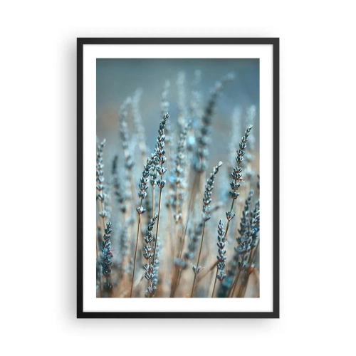 Plagát v čiernom ráme - Jemné levanduľové kvety na pastelovom pozadí - 50x70cm - Voňavý lán - Moderná nástenná dekorácia do obývacej izby a spálne ARTTOR