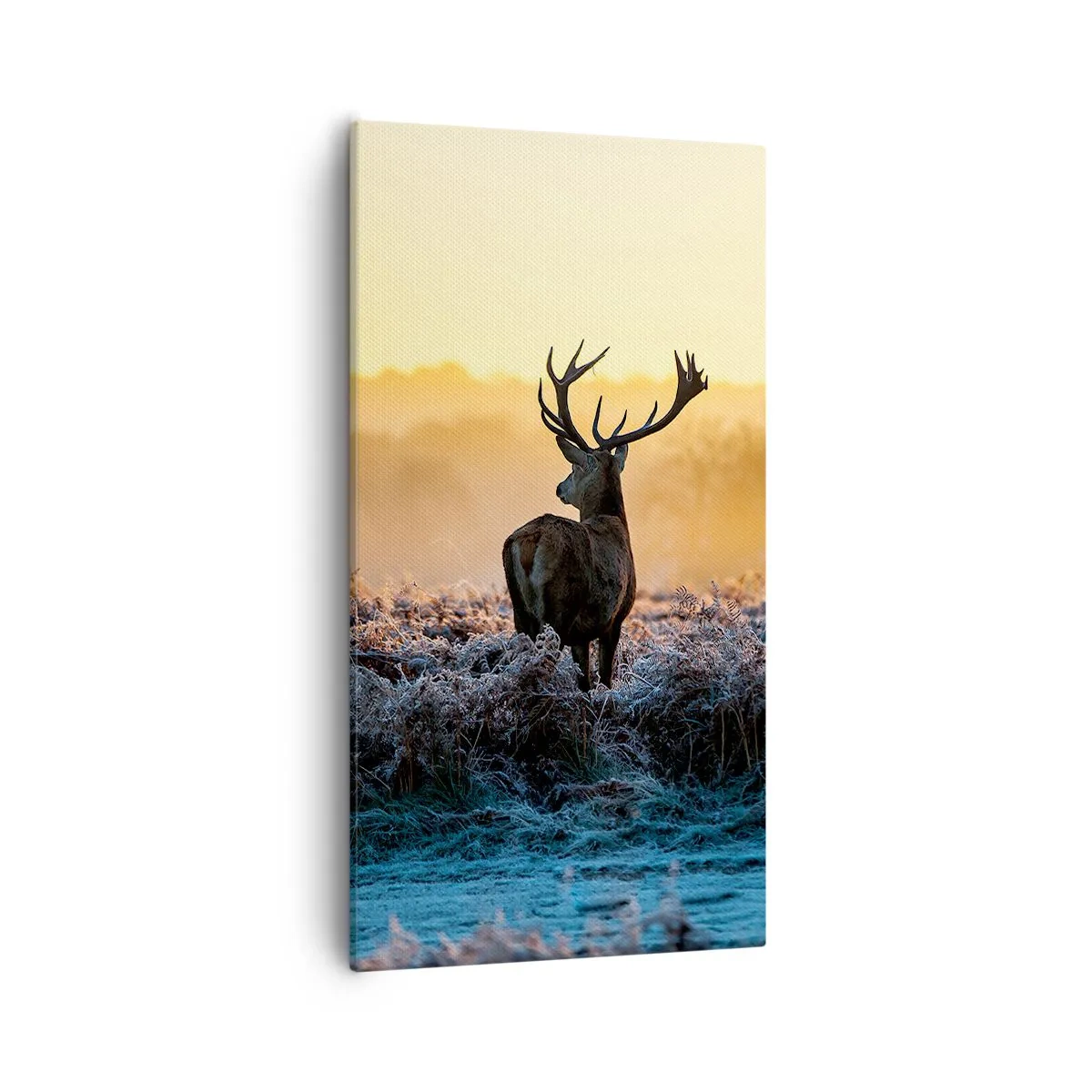 Obraz na plátne - Korunovaný na svojom panstve - 55x100 cm