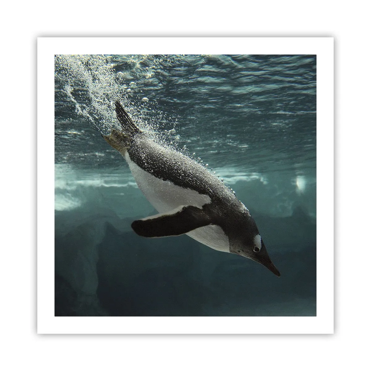 Plagát - Vitajte v mojom svete - 60x60 cm