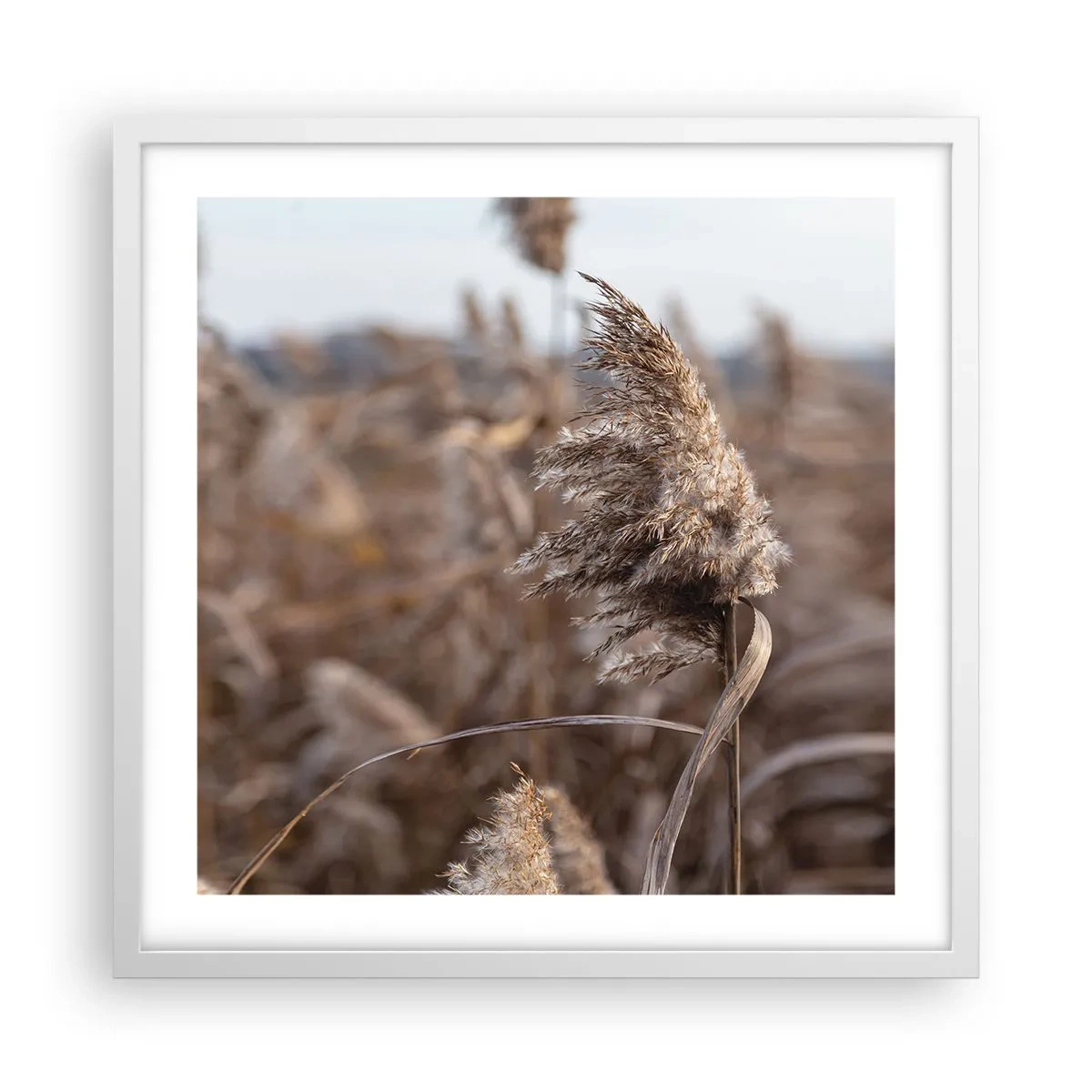 Plagát v bielom ráme - Čas odletieť s vetrom - 50x50 cm