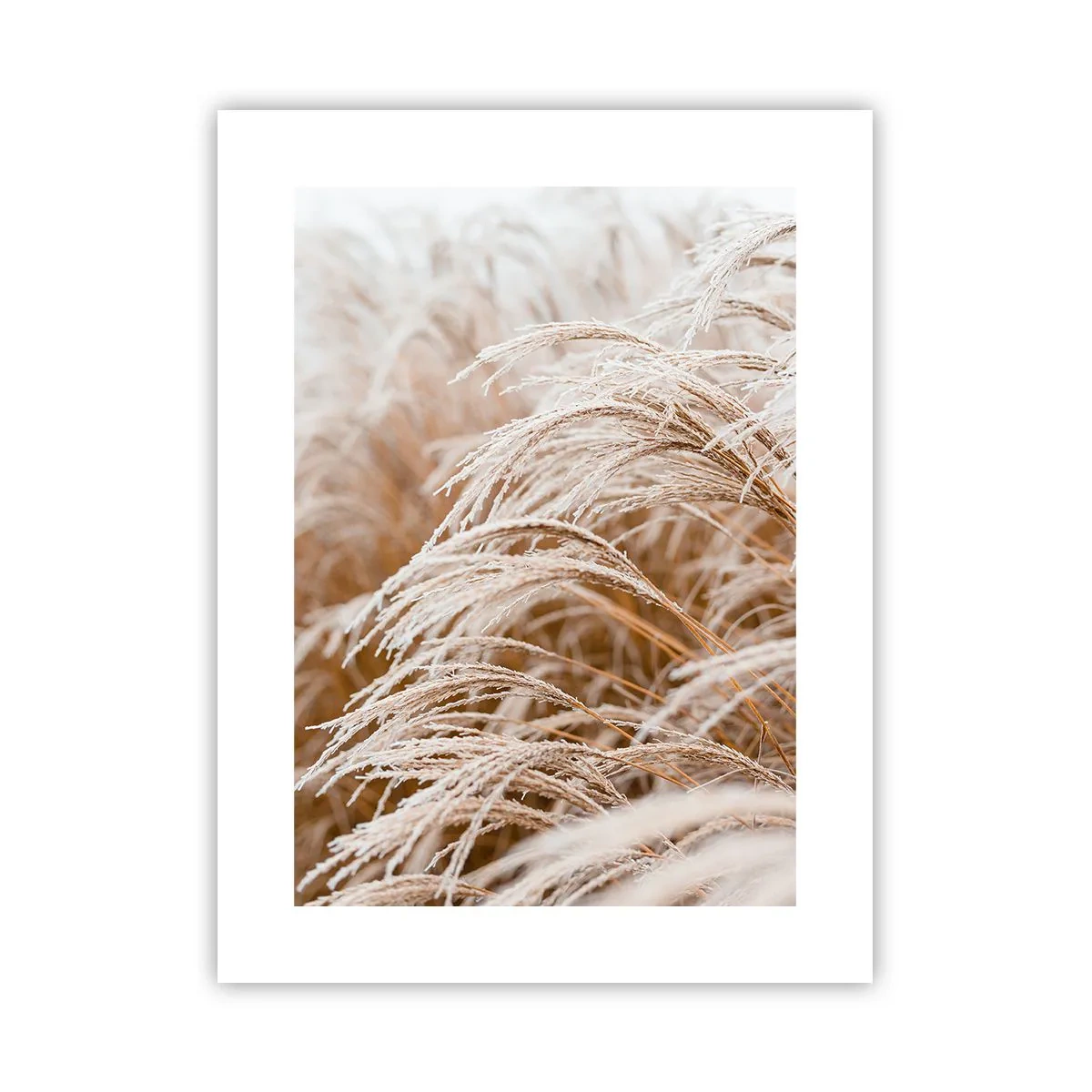 Plagát - Klanenie jesennému slnku - 30x40 cm