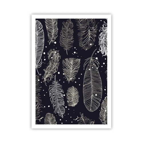 Plagát - Čipka s perím - 70x100 cm