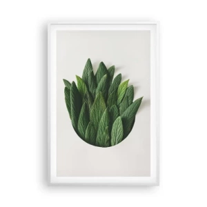 Plagát v bielom ráme - Neukojiteľná zvedavosť - 61x91 cm