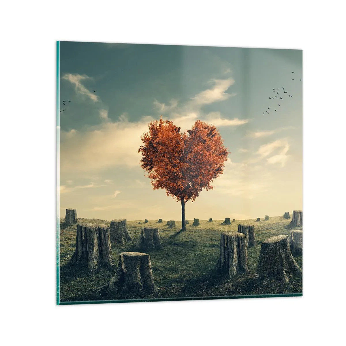 Obraz na skle - Stále je ešte nádej - 70x70 cm