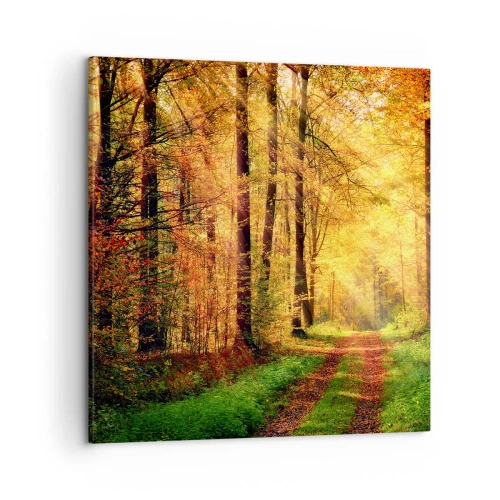 Obraz na plátne - Lesno-zlaté ticho - 50x50 cm