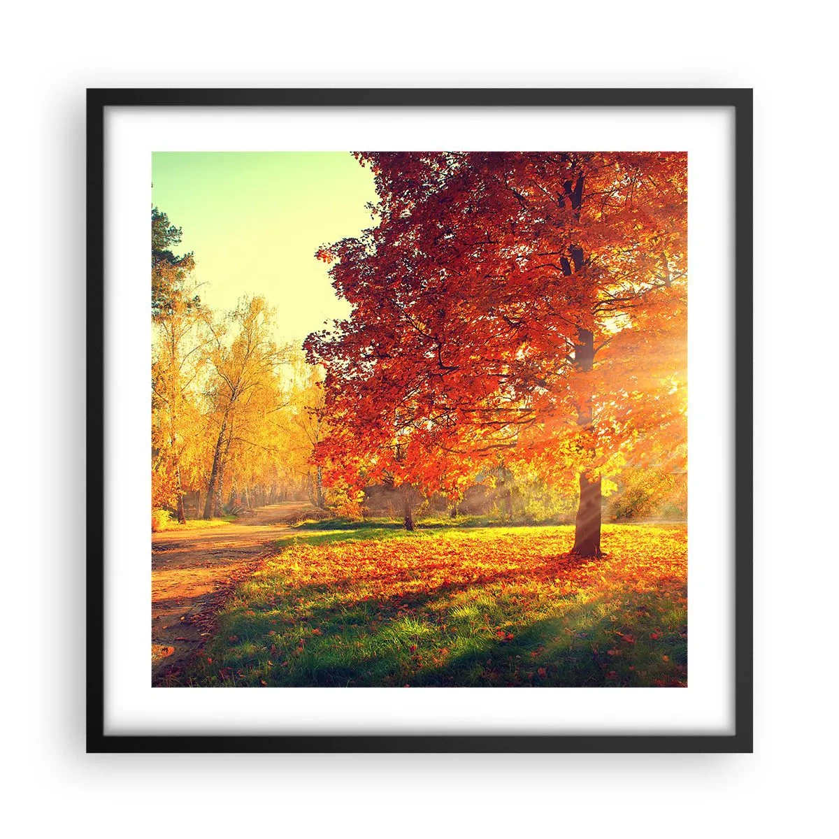 Plagát v čiernom ráme - Červené je krásne - 50x50 cm