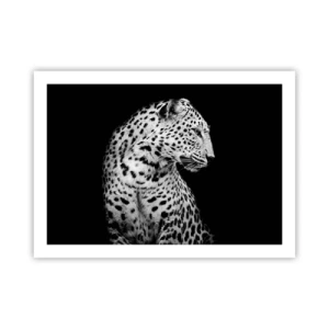 Plagát - Pravý profil perfektný! - 70x50 cm