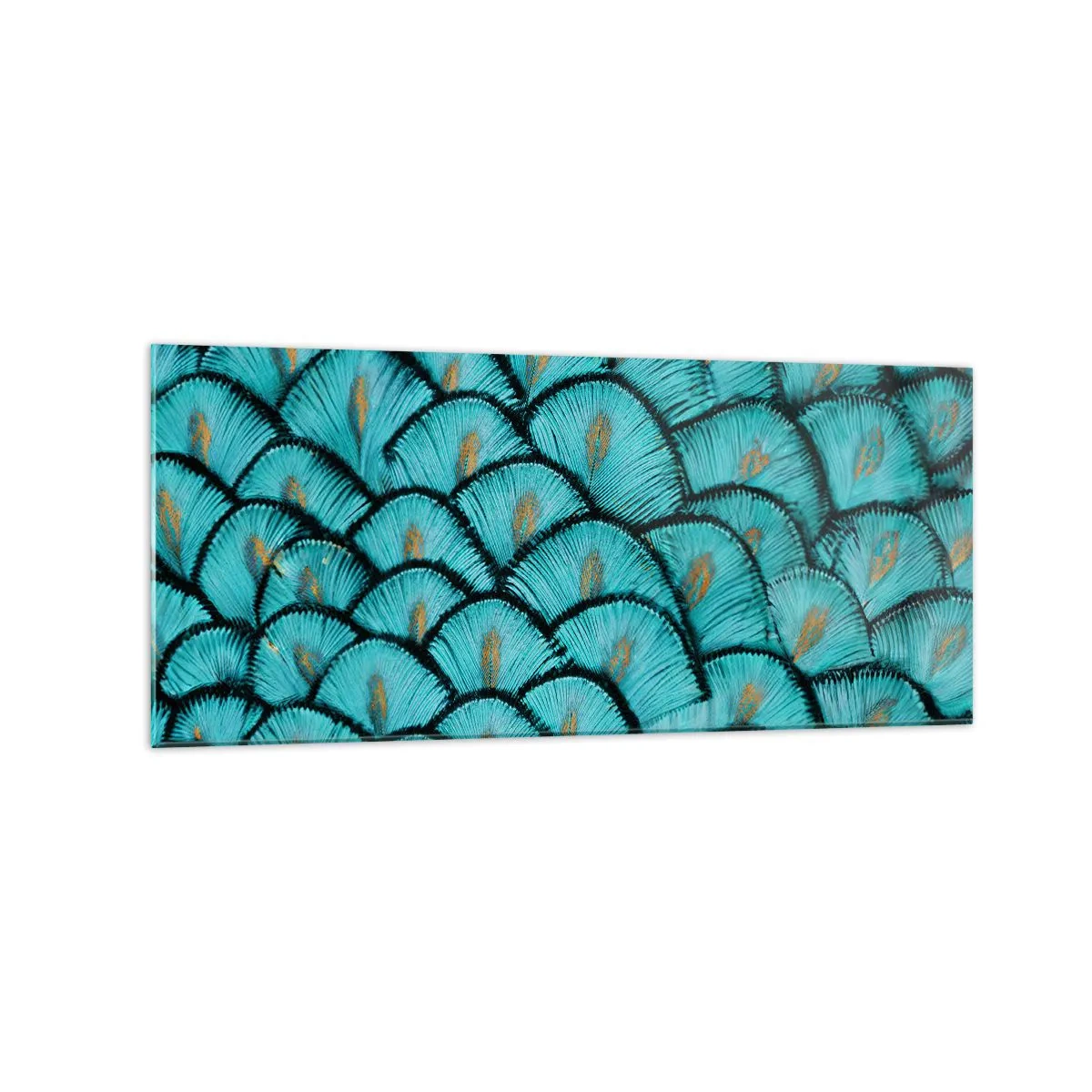 Obraz na skle - Veľká slávnosť peria - 120x50 cm