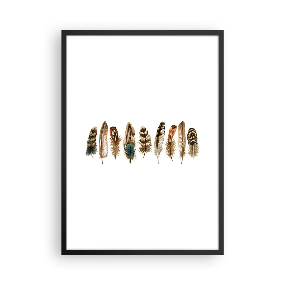 Plagát v čiernom ráme - Farebné perie v rade - 50x70cm - Operená variácia - Moderná nástenná dekorácia do obývacej izby a spálne ARTTOR