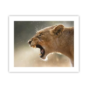 Plagát - Snaž sa nepočúvať - 50x40 cm