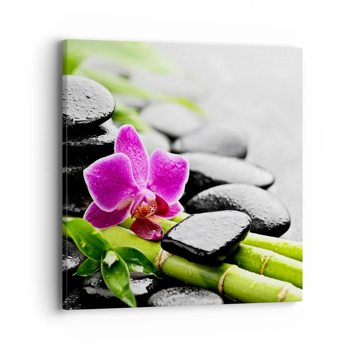 Obraz na plátne - V pokojnej rovnováhe - 40x40 cm