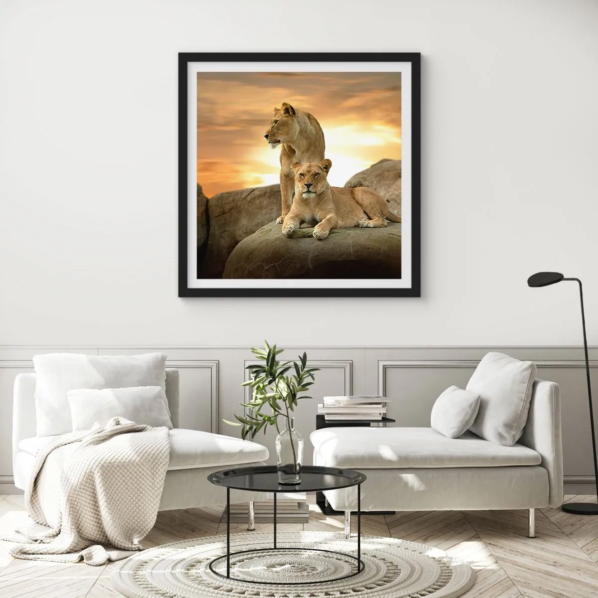 Plagát v čiernom ráme - Kráľovský majestát - 60x60 cm