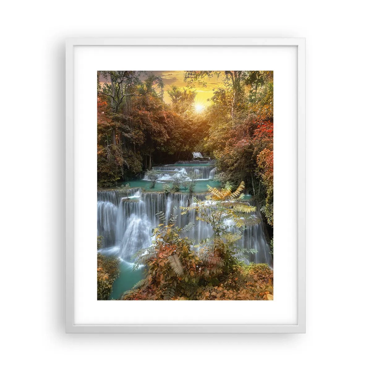 Plagát v bielom ráme - Ukrytý poklad lesa - 40x50 cm