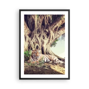Plagát v čiernom ráme - Tiger odpočíva pod obrovským stromom so zamotanými koreňmi. - 50x70cm - Pohľad z knihy Mojžišovej - Moderná nástenná dekorácia do obývacej izby a spálne ARTTOR