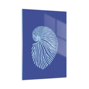 Obraz na skle - Zrodenie mušle - 50x70 cm