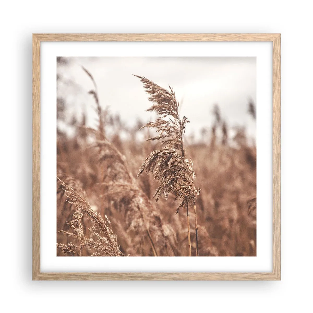 Plagát v ráme zo svetlého duba - Na poliach už je jeseň - 50x50 cm