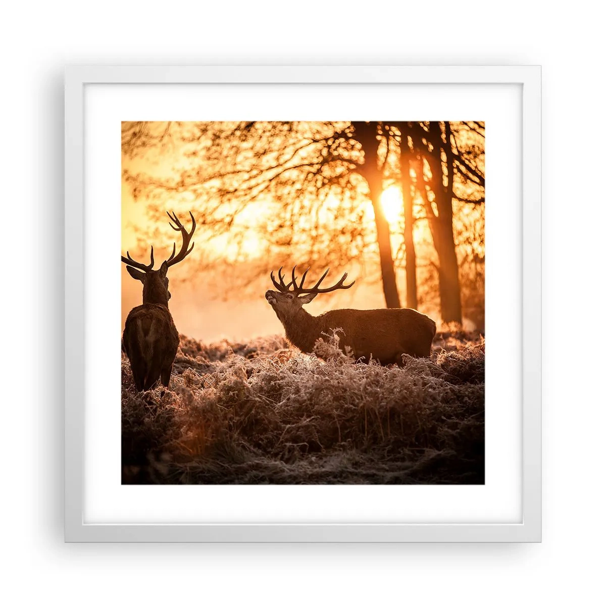 Plagát v bielom ráme - Sen poľovníka - 40x40 cm