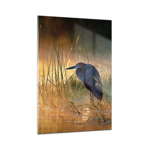 Obraz na skle - Ušetrite ma tých fotiek - 50x70 cm