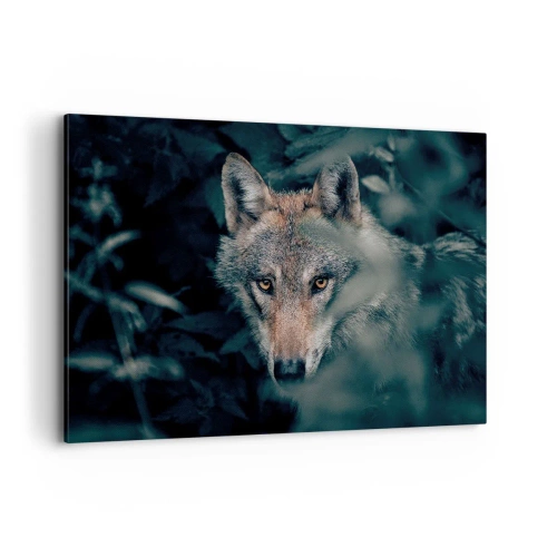 Obraz na plátne - Predátor - 120x80 cm