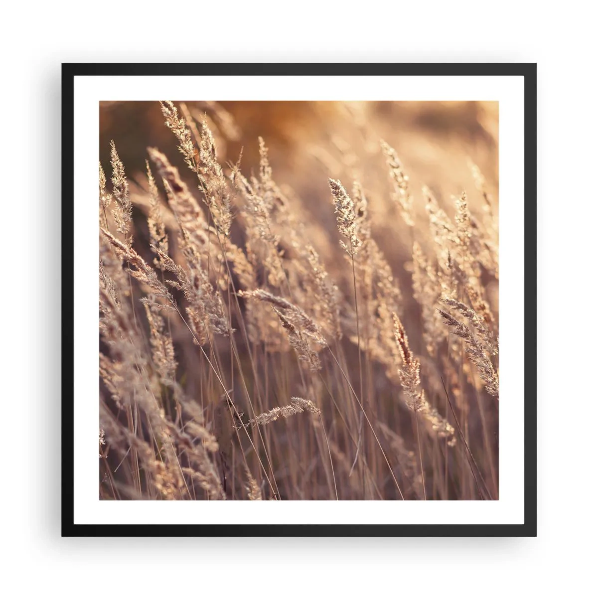 Plagát v čiernom ráme - Pripravení privítať jeseň - 60x60 cm