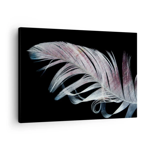 Obraz na plátne - Jemné pierko na čiernom pozadí v umeleckom prístupe - 70x50cm - Premýšľajte o dotyku - Moderná nástenná dekorácia do obývacej izby a spálne ARTTOR