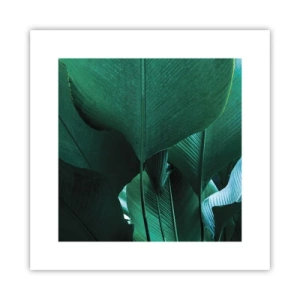 Plagát - Obrátené k svetlu - 30x30 cm