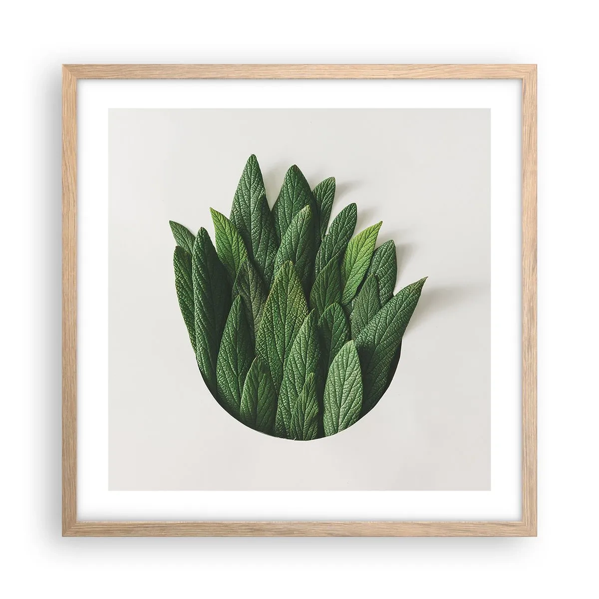 Plagát v ráme zo svetlého duba - Neukojiteľná zvedavosť - 50x50 cm