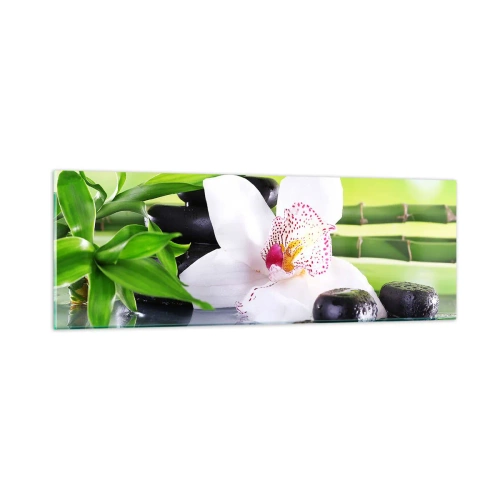 Obraz na skle - Chladná sviežosť - 90x30 cm