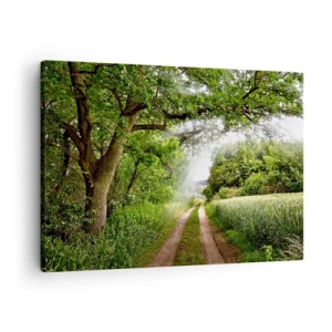 Obraz na plátne - Nespevnená cesta medzi zelenými stromami a slnečným svetlom - 70x50cm - Et in Arcadia ego - Moderná nástenná dekorácia do obývacej izby a spálne ARTTOR