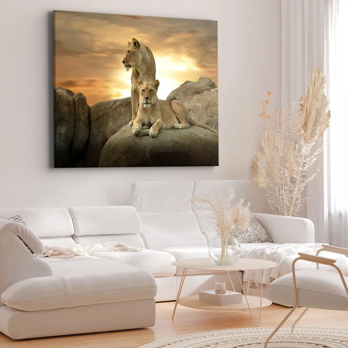 Obraz na plátne - Dve levice odpočívajúce na skale pri západe slnka - 70x50cm - Kráľovský majestát - Moderná nástenná dekorácia do obývacej izby a spálne ARTTOR