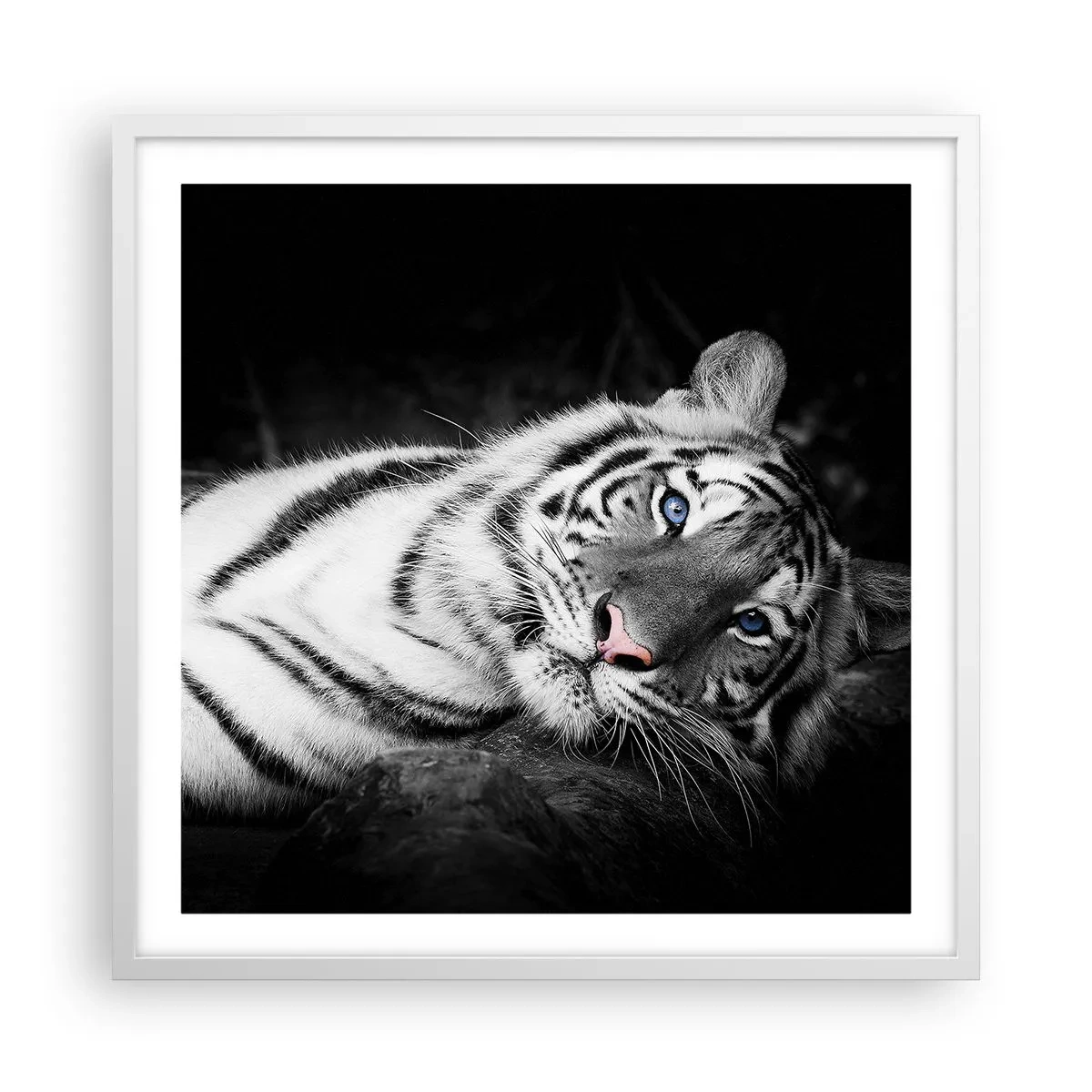 Plagát v bielom ráme - Divočina a pokoj - 60x60 cm