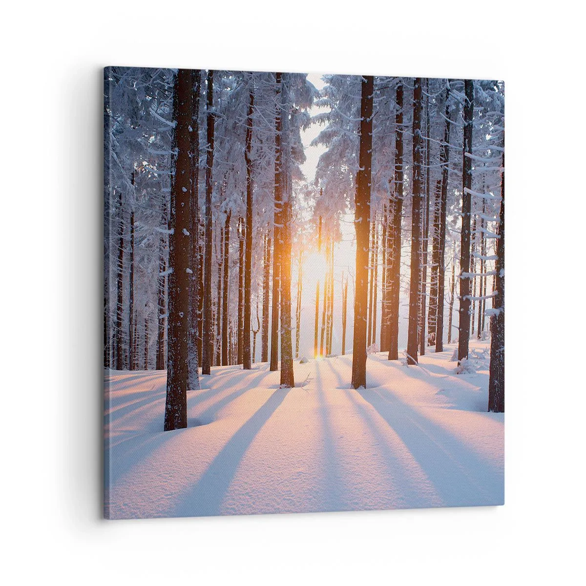 Obraz na plátne - Jasne čierne na bielom - 60x60 cm