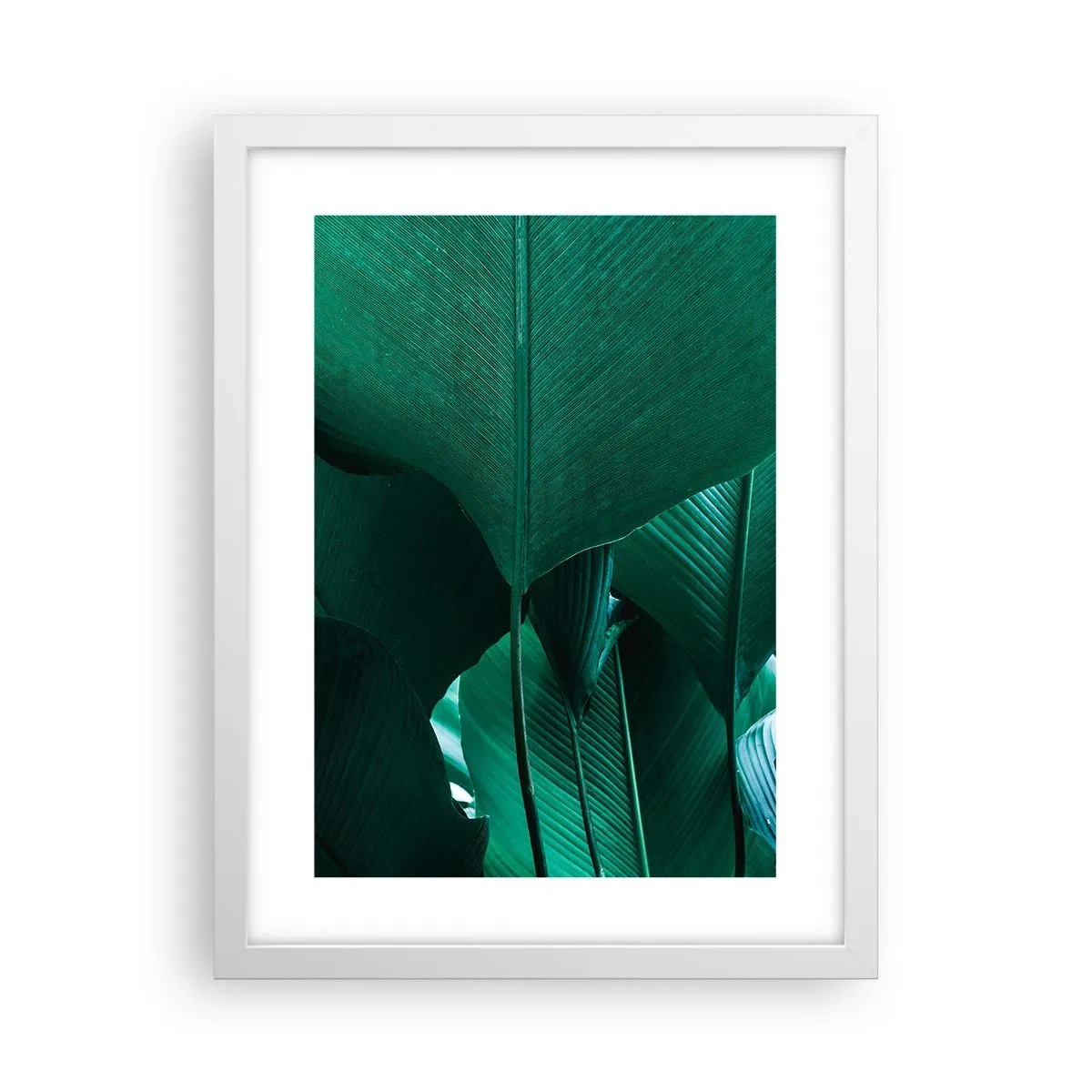 Plagát v bielom ráme - Obrátené k svetlu - 30x40 cm