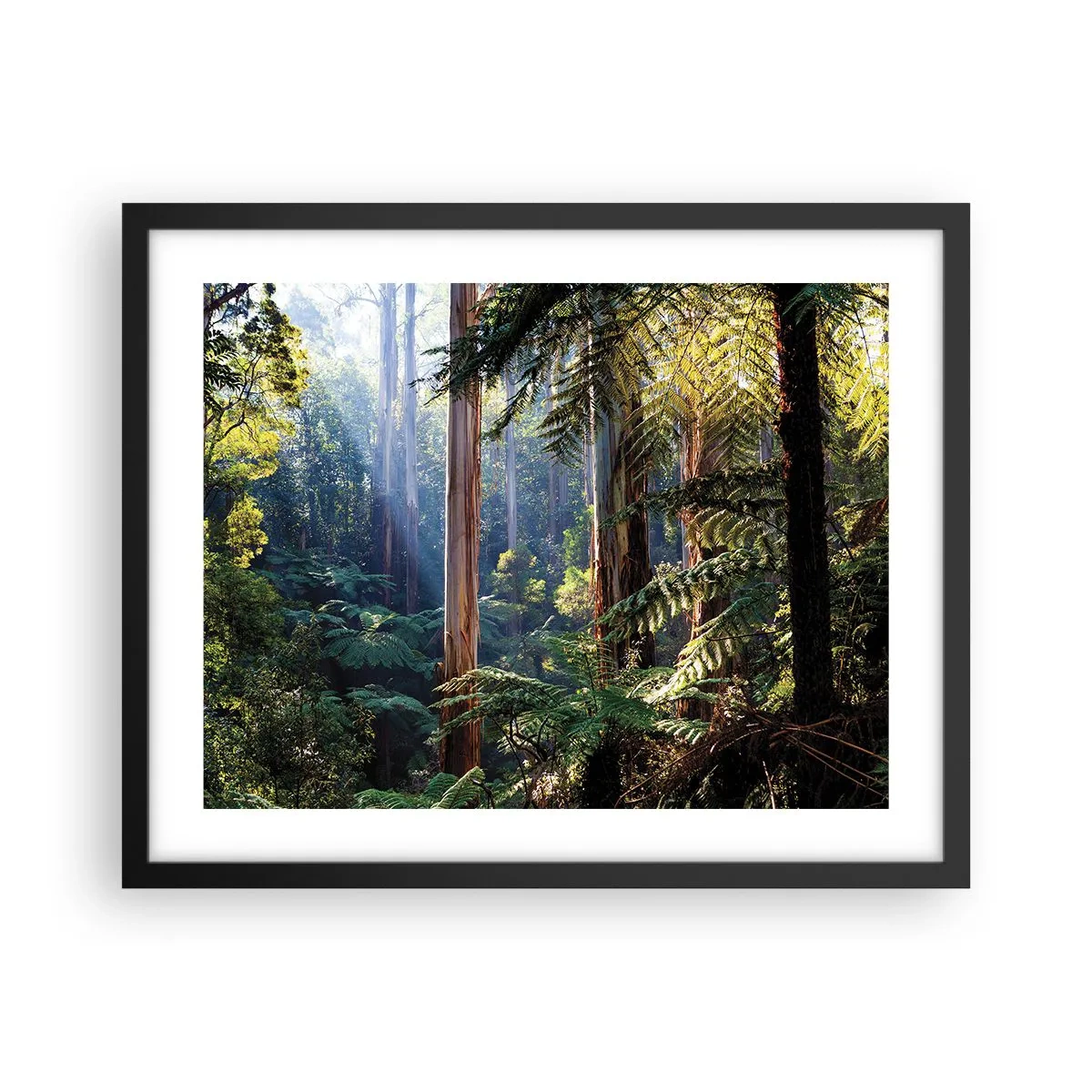 Plagát v čiernom ráme - Poviedka lesa - 50x40 cm
