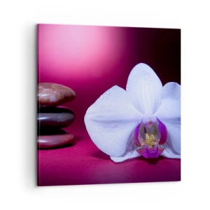 Obraz na plátne - Štúdia sviežosti vo fialovej - 60x60 cm