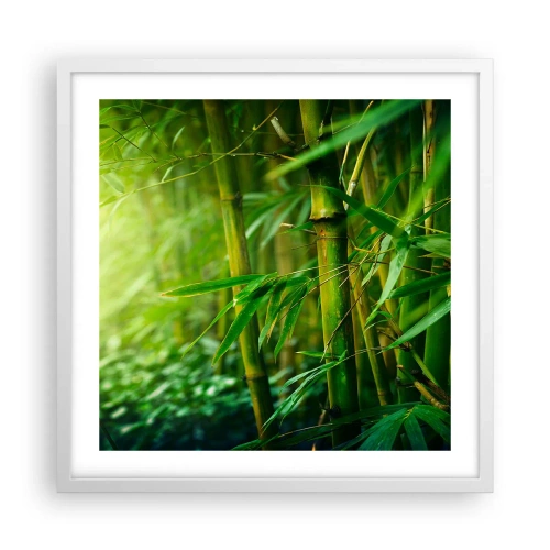Plagát v bielom ráme - Poznať samotnú zeleň - 50x50 cm