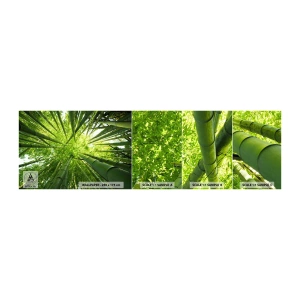 Vzorka Fototapeta Standard Eco - V bambusovom háji - Bambusový les, Džungle, Bambus - 100x30 cm