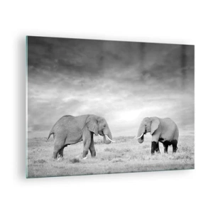 Obraz na skle - Dva slony na savane v odtieňoch čiernej a bielej - 70x50cm - Šedá je krásna - Moderná nástenná dekorácia do obývacej izby a spálne ARTTOR