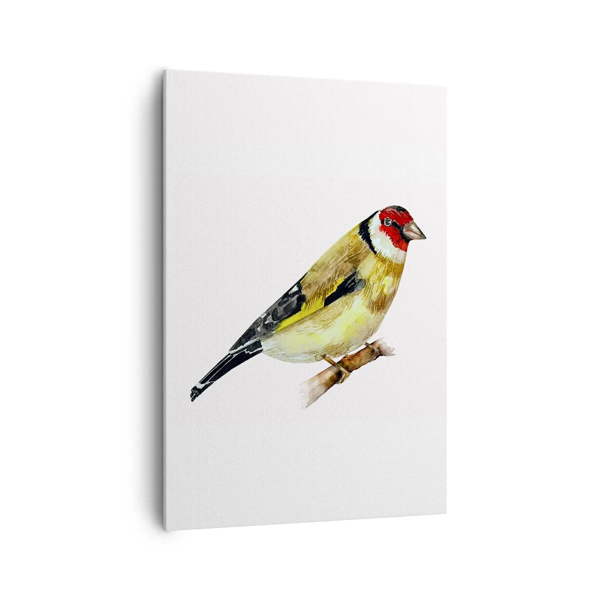 Obraz na plátne - Vtáčí portrét - 70x100 cm