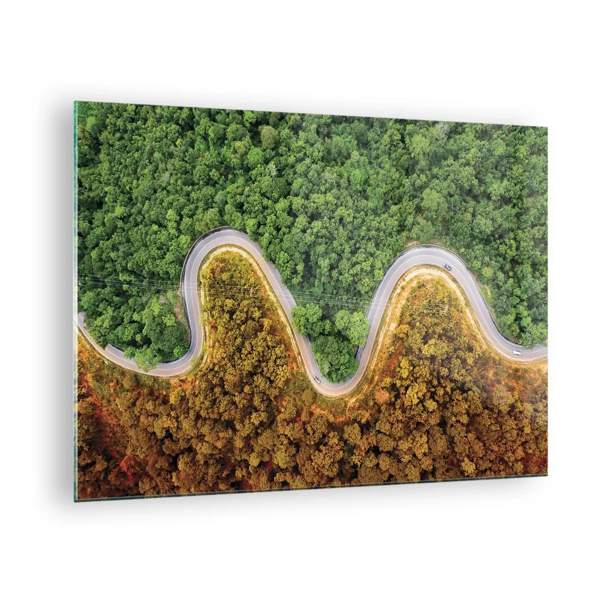 Obraz na skle - Kľukatá cesta cez hustý les z vtáčej perspektívy - 70x50cm - Hranice a prelomy - Moderná nástenná dekorácia do obývacej izby a spálne ARTTOR