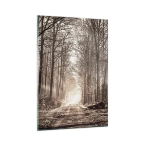 Obraz na skle - Lesná katedrála - 80x120 cm