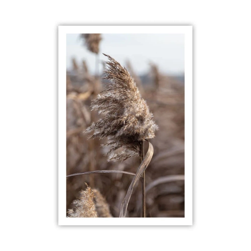 Plagát - Čas odletieť s vetrom - 61x91 cm