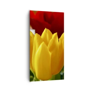 Obraz na plátne - Tulipánová horúčka - 65x120 cm
