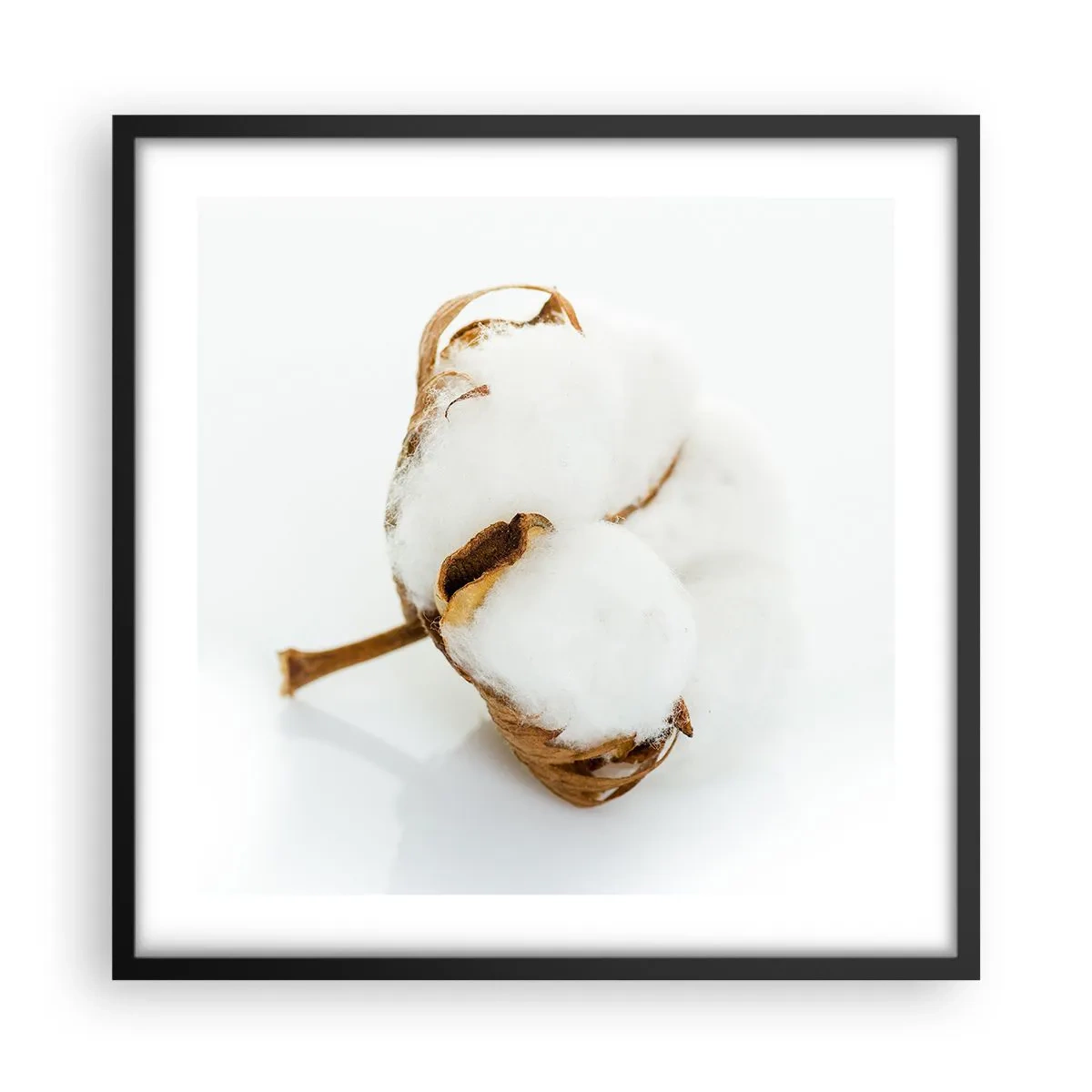 Plagát v čiernom ráme - Mäkká od prírody - 50x50 cm