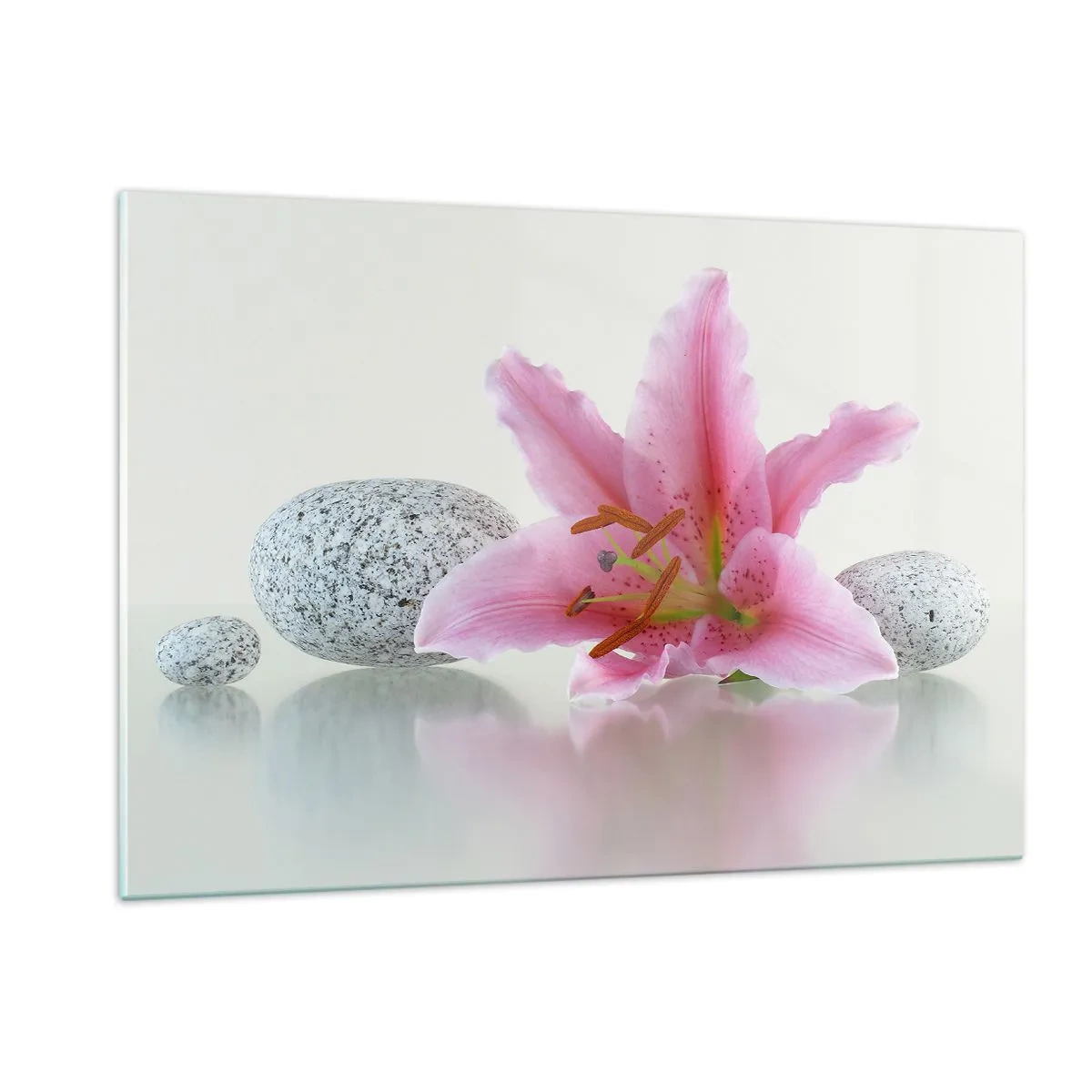 Obraz na skle - Štúdia v ružovej, šedej a bielej - 120x80 cm