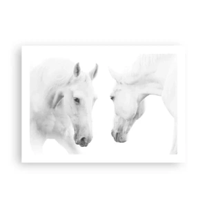 Plagát - Je to priateľstvo…? - 70x50 cm