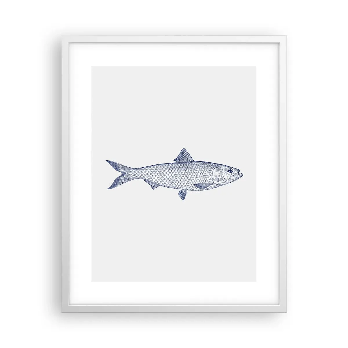 Plagát v bielom ráme - Pozdravy zo severných morí - 40x50 cm