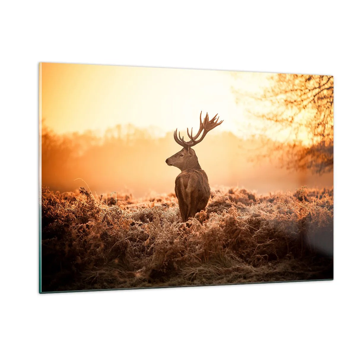 Obraz na skle - Pán na panstve - 120x80 cm