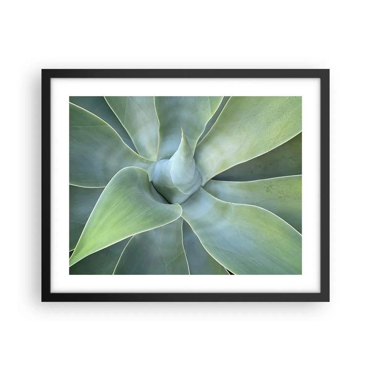 Plagát v čiernom ráme - Zrodenie zelene - 50x40 cm